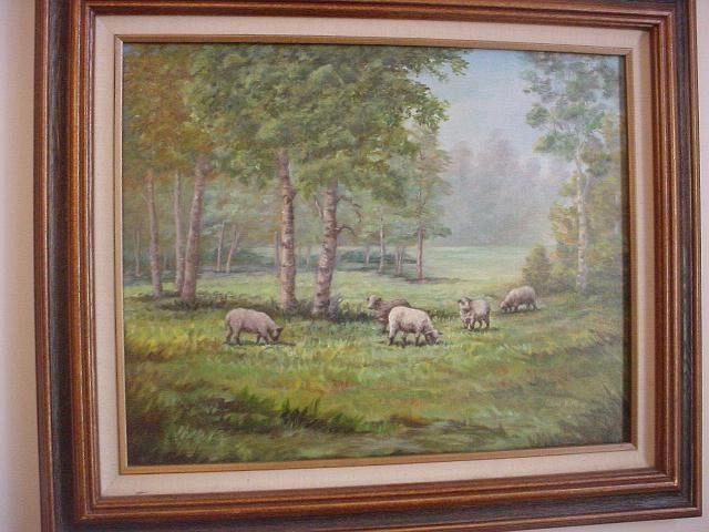 Sheep Pasture