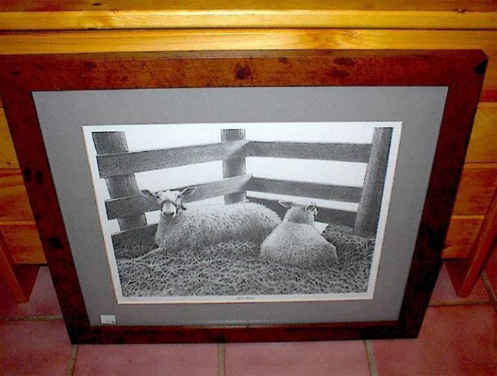 Sheep Pencil Drawing