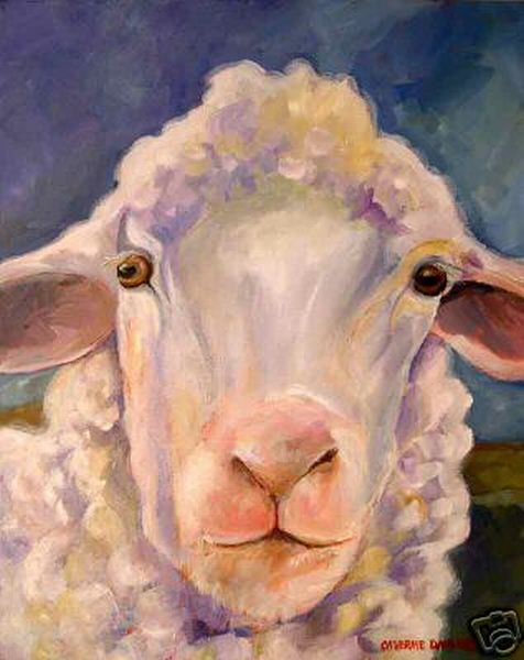 Sheep Portrait1