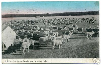 Sheep Ranch Farm Lincoln NE Nebraska 1910
