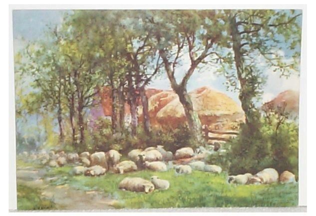 Sheep Resting Under Trees