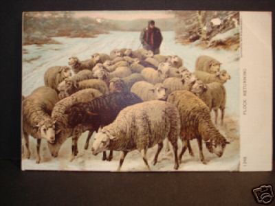 Sheep Returning in Winter