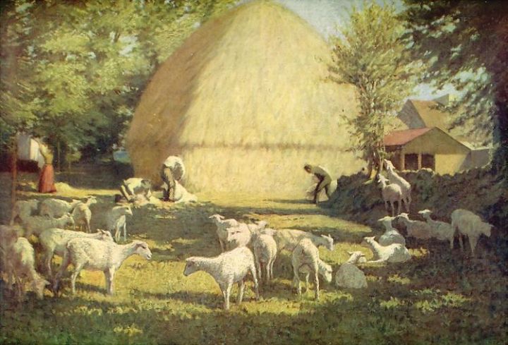 Sheep Shearing Rural Irish Farm Farmer Old Print Obrien