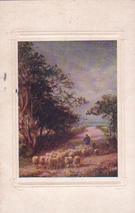 Sheep Shepherd Commimg Home