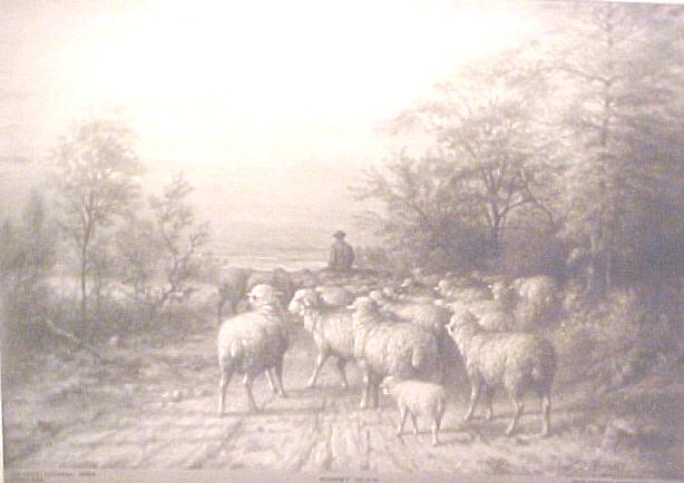 Sheep Shepherd Watch Sunset