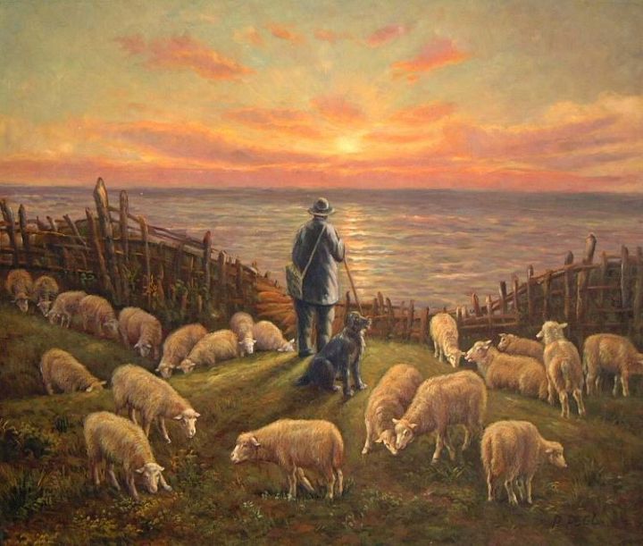 Sheep Sunset