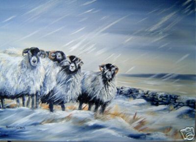 Sheep Under a Blanket of Snow