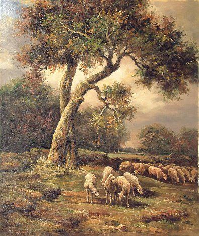 Sheep Under an Old Tree