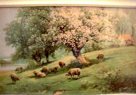 Sheep Under Apple Tree