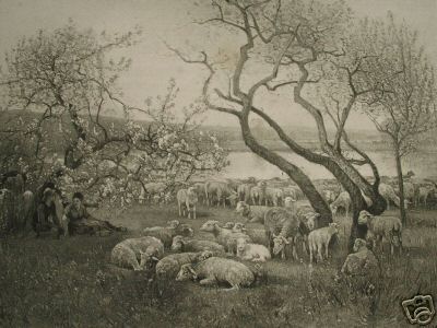 Sheep Under Small Twisting Trees