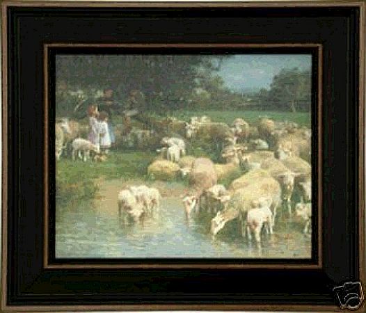Sheep Wadeing with Sunday Children