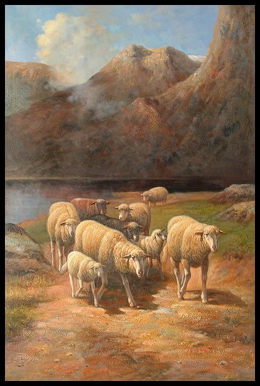 Sheep Walking By the Lake