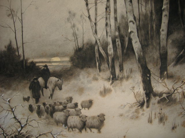 Sheep Walking Home Thru Snow