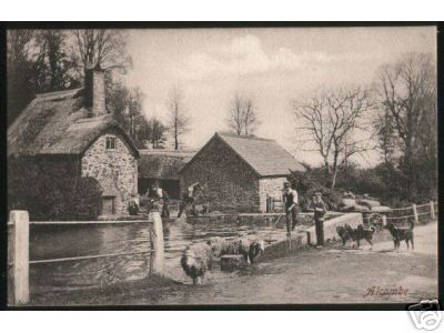 Sheep Washing in Alcombe Eng 1906