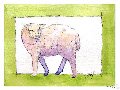Sheep Watercolor Painting