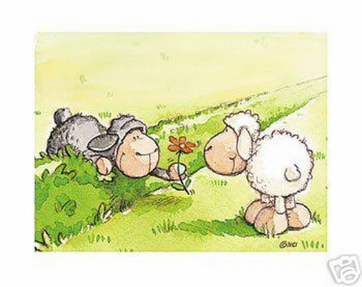 Sheep with a Flower