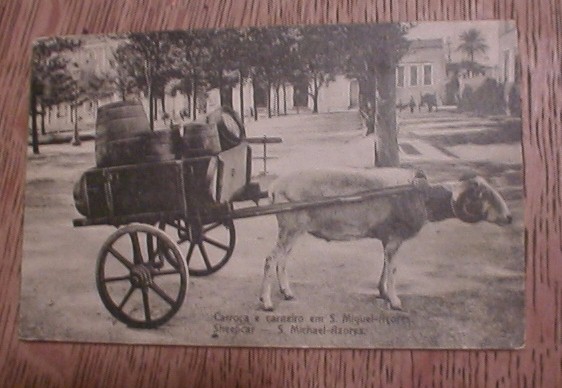 Sheep with Cart
