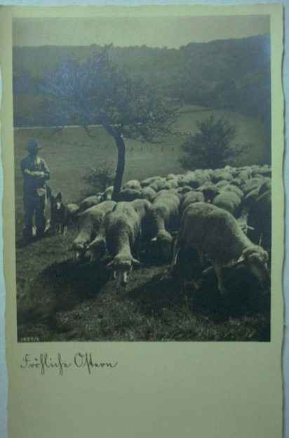 Sheep with Dog and Shepherd