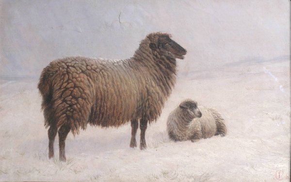 Sheep with Lamb in Snow
