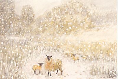 Sheep with Lambs in Snow