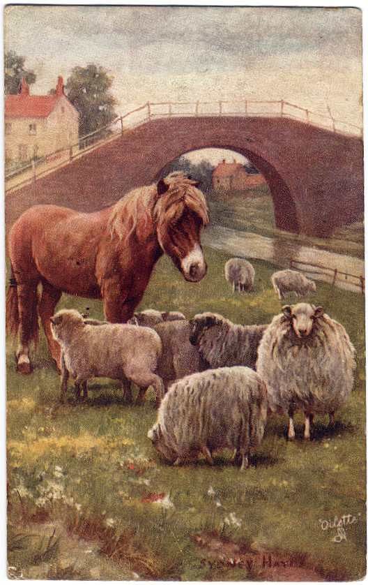 Sheep with Pony Gardian