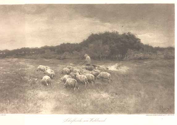 Sheep with Shepherd