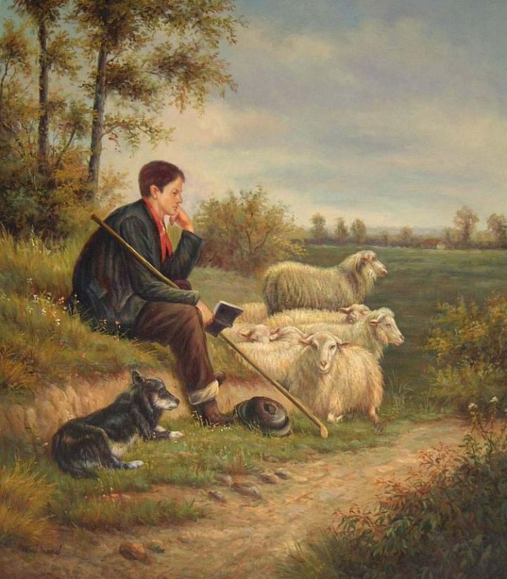 Sheep with Shepherd and BC