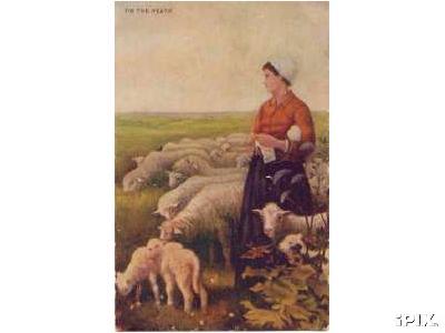 Sheep with Shepherdess