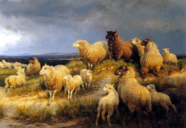 Sheep with Spring Storm