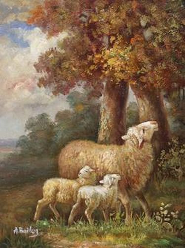 Sheep with Twins