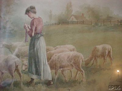 Sheep with Woman Knitting