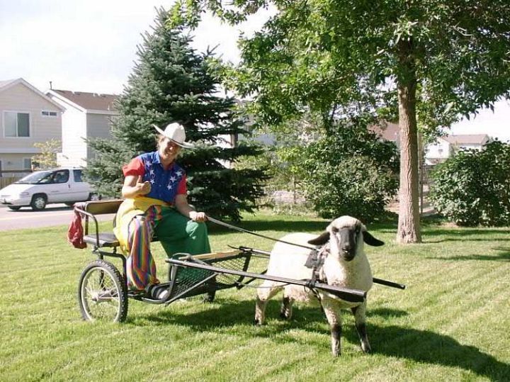 Sheepcart