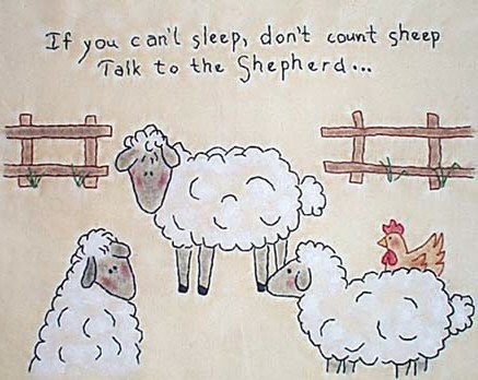 Sheeptalkweb