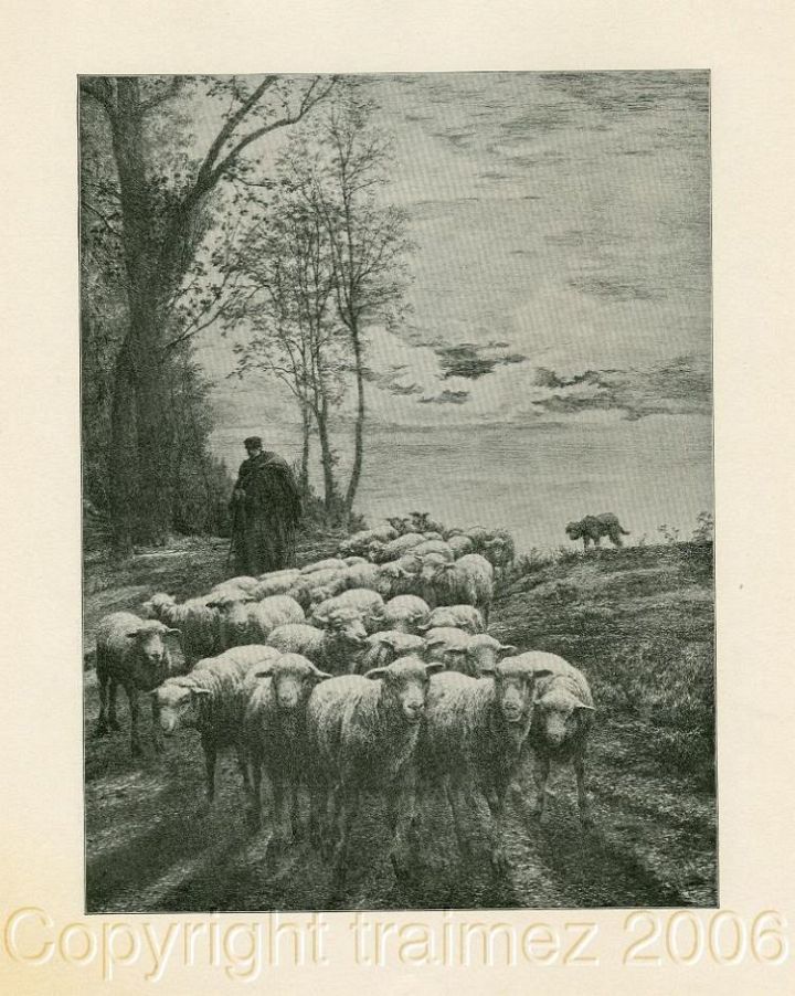 Shepherd and Sheep at Evening