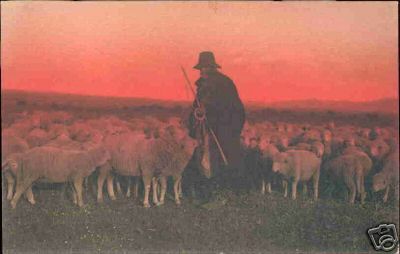 Shepherd and Sheep at Sunrise