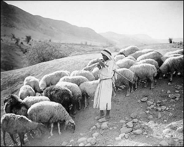 Shepherd Boy Playing Flute to Sheep