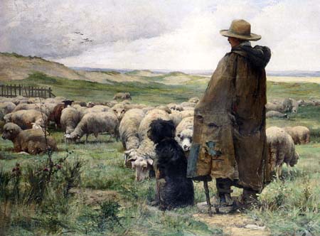 Shepherd Briard Sheep