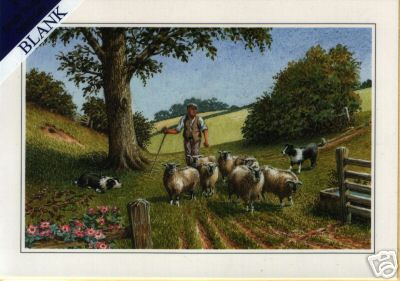Shepherd Card with Sheep