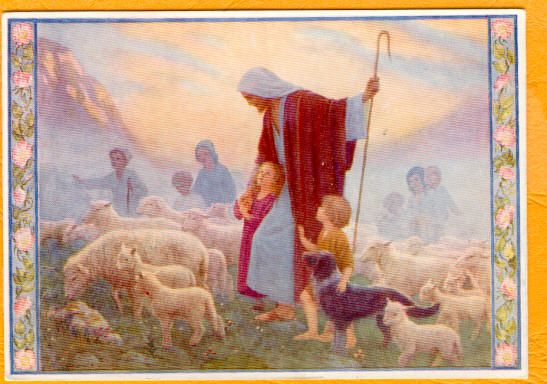 Shepherd Family and Sheep in the Holy Land