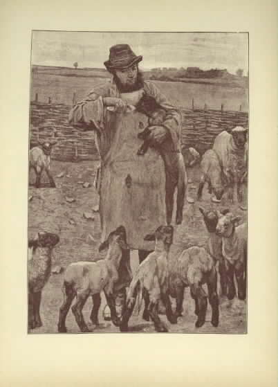 Shepherd Feeding Orphand Lambs