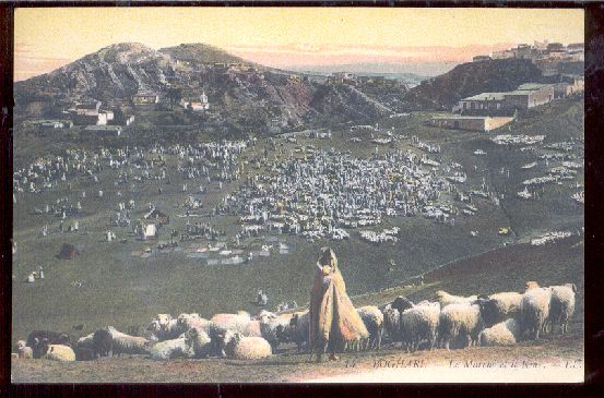 Shepherd in Blanket with Deep Sheep