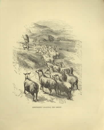 Shepherd Leading His Sheep