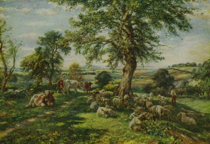 Shepherd Sheep Cows Under a Tree