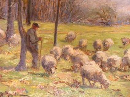 Shepherd Sheep in Late Summer