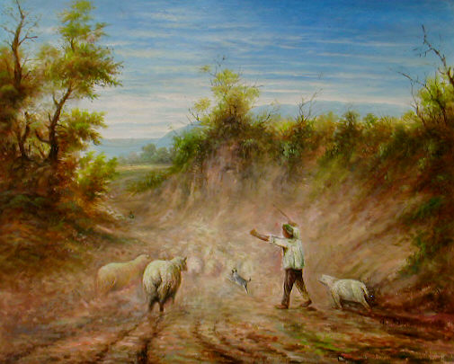 Shepherd Sheep on Country Road