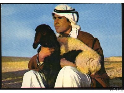 Shepherd with Black Headed Lamb