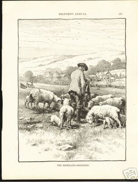 Shepherd with Ewes and Lambs