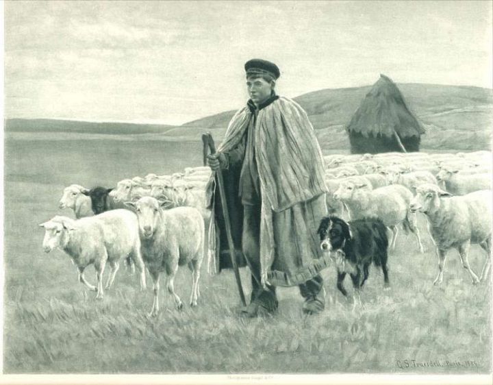 Shepherd with Sheep and Dog