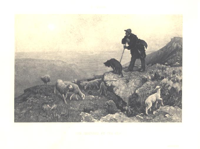 Shepherd with Sheep Looks Out to Sea