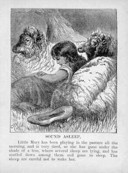 Shepherdess Asleep with Sheep